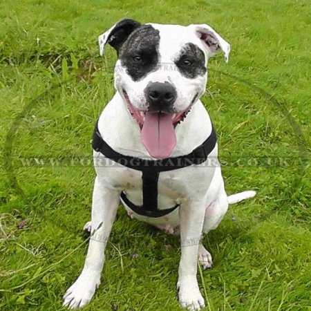 K9 Dog Harness No Pull Front Clip to Stop Dog Pulling on Lead