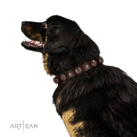 Premium Chocolate Brown Leather Dog Collar With Round Medallions FDT Artisan