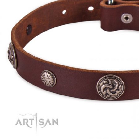 Exclusive Brown Studded Dog Collar FDT Artisan For Active Walking