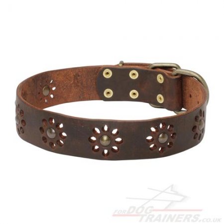 Pretty Dog Collar with Glancing Spikes and Studs NEW DESIGN!