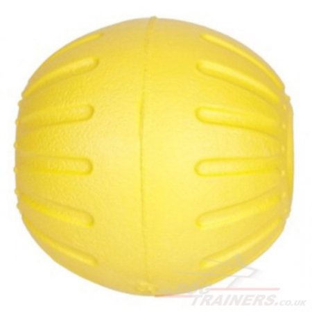 Extra Strong Dog Ball for Heavy Chewers