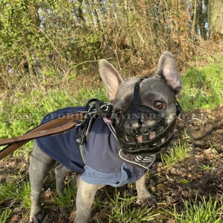 French Bulldog Soft Muzzle for Flat Nose Dog Made of Leather