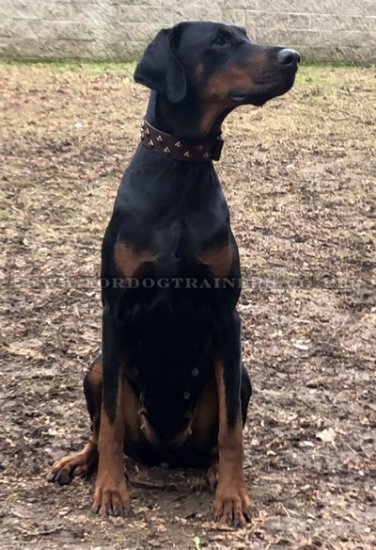 Diamond Studded Dog Collar, Wide, Thick and Soft Leather