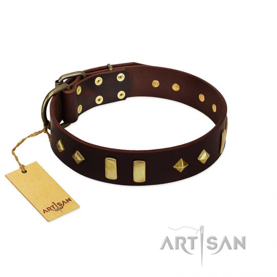 "Blinking Illusion" Extraordinary Brown Leather Dog Collar With Shiny Studs FDT Artisan