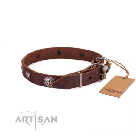 Exclusive Brown Studded Dog Collar FDT Artisan For Active Walking
