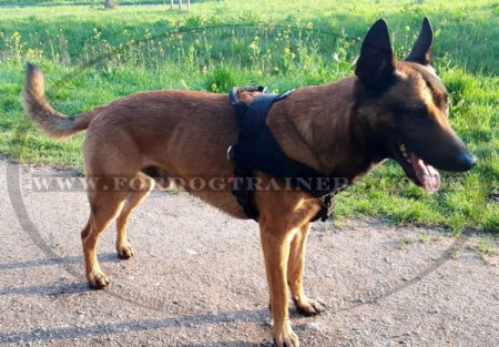K9 Dog Harness No Pull Front Clip to Stop Dog Pulling on Lead