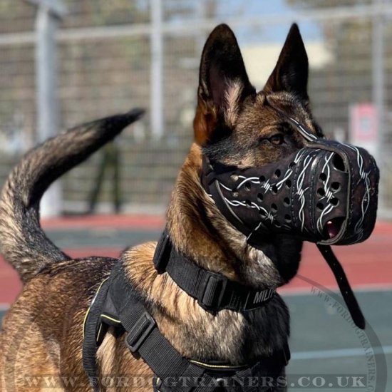 Painted K9 Dog Muzzle for Belgian Malinois