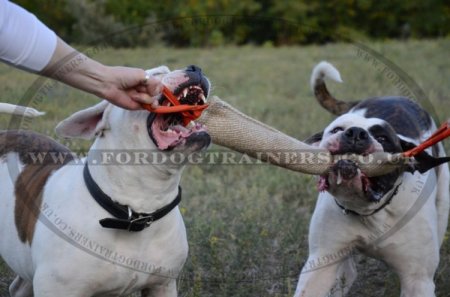 Jute Tugs for Large Dog Training | Bite Tug for Dog