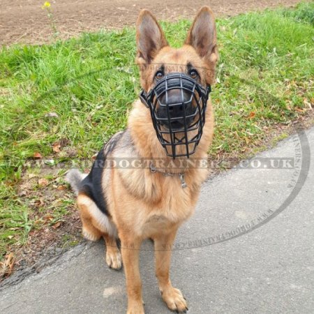 German Shepherd Muzzle Shape with Rubber-Coated Basket