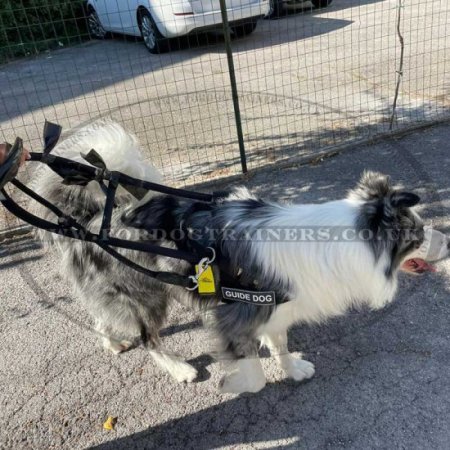 Guide Dog Harness with Bridge Handle, High Vis and Patches