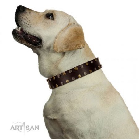 "To The Moon And Back" Studded Soft Brown Leather Dog Collar FDT Artisan