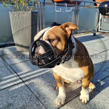 Soft Leather Muzzle for Bulldog Flat Snout, Perfectly Ventilated