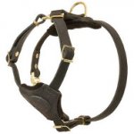 Best Small Dog Harness Leather Design with Soft Lining