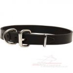 1 Inch Leather Dog Collar UK