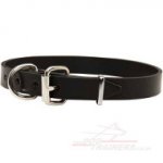 1 Inch Leather Dog Collar for Small and Large Dogs