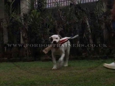 Strong Jute Bite Tug for Dog Training with 1 Handle