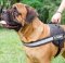 High Vis Dog Harness for Bullmastiff Sport, Service, Walking