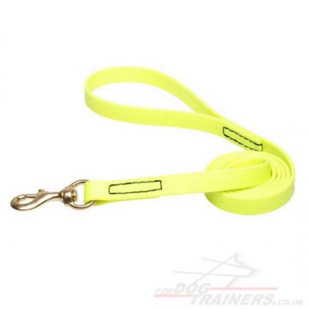 Modern Neon Yellow Dog Leash Biothane
