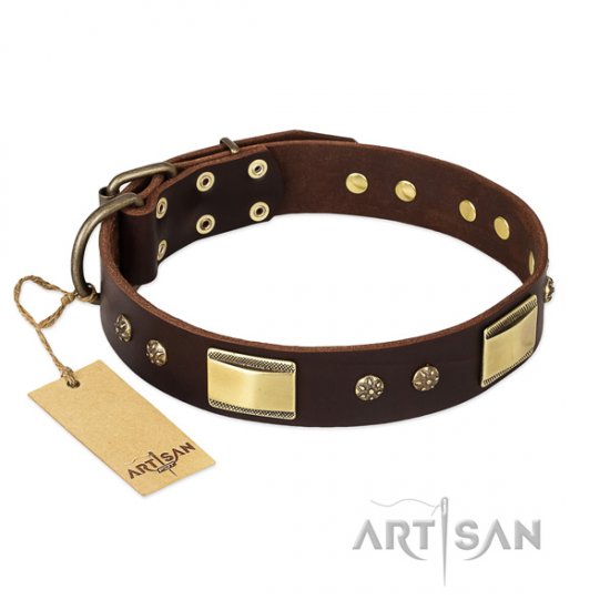 Brown Dog Collar with Brass Finery "Rich Fashion" by FDT Artisan