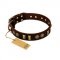 Handmade Leather Dog Collar "Golden Elegance" FDT Artisan
