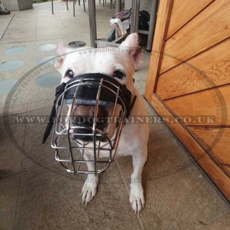 Best Design Wire Dog Muzzle for Rhodesian Ridgeback Dog
