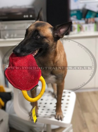 Soft and Durable Dog Bite Toy for Puppies and Big Dogs