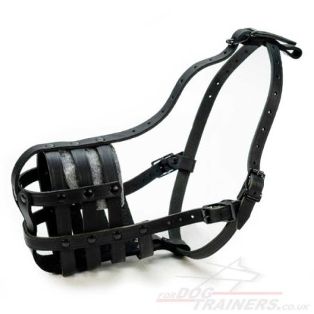 Leather Muzzle with Super Ventilation for Staffy, Bestseller!