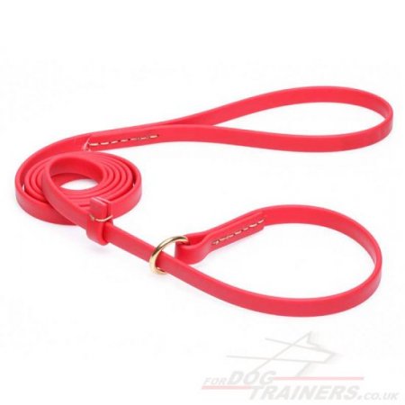 Red Dog Collar and Leash 2 in 1 Combo Choker with Handle