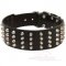 Wide Dog Collars with Glancing Studs | 2" Dog Collar Studded