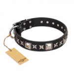 Unusual Dog Collar with Square Studs & Stars Space Walk Artisan