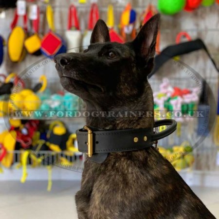 2 Ply German Shepherd Collar UK | Dog Collars for German Shepherd