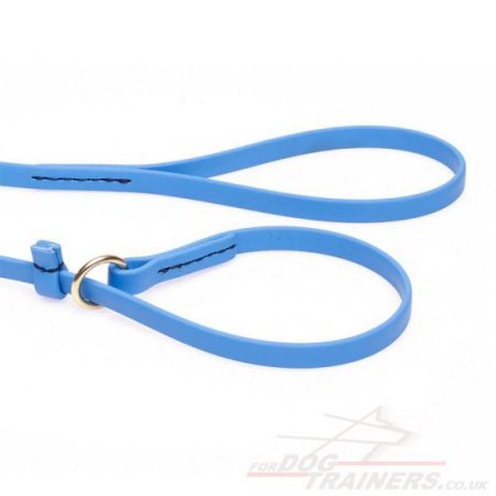 Blue Dog Leash and Collar Choker Set Combo, Biothane