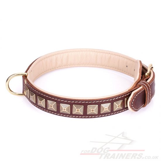 "Pyramid" Handmade Brown Leather Dog Collar Adorned With Brass Studs