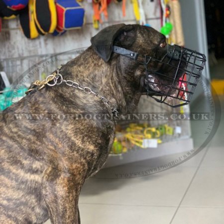 Bullmastiff Muzzle, Rubber-Coated Wire | Muzzle for Bullmastiff