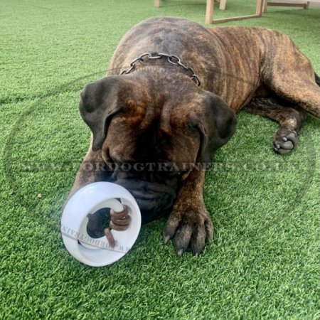The Best Interactive Dog Treat Toy "TREAT Ringer Orb"