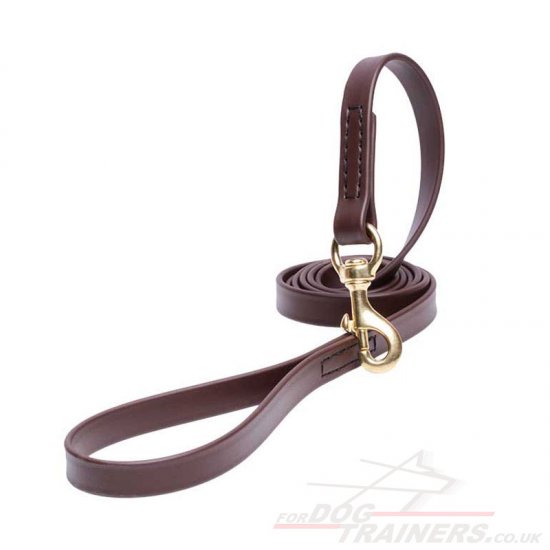 Advanced Biothane Brown Dog Lead with Handle