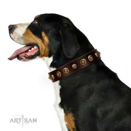 "Street Fashion" Extra Durable Brown Leather Dog Collar FDT Artisan
