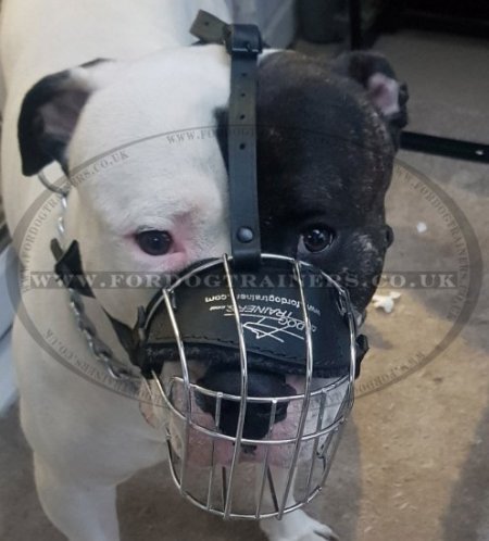 Basket American Bulldog Muzzle UK Best Seller