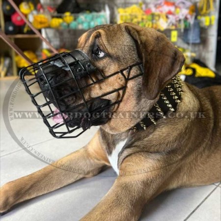 Large Dog Muzzle for Cane Corso Muzzle Size Rubber Coated Any-Weather