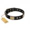 Smart Dog Collar Black Leather with Brass Plates & Studs Artisan