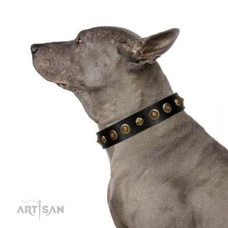 "Reckless Mutt" Strong Black Real Leather Dog Collar With Skulls FDT Artisan