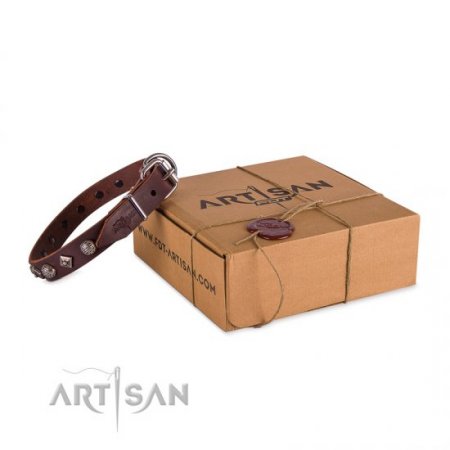 Extravagant Brown Leather Personalised Dog Collar FDT Artisan