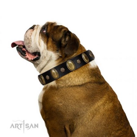 "Gilded Stones" Functional Black Real Leather Dog Collar FDT Artisan