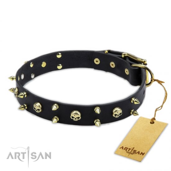 Stylish Brass Studded Black Leather Dog Collar FDT Artisan