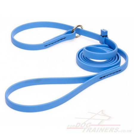 Blue Dog Leash and Collar Choker Set Combo, Biothane
