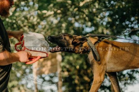 NEW! Leather Covered Dog Bite Training Pad