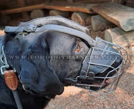 Wire Dog Muzzle for Labrador | Best Dog Muzzle for Labrador