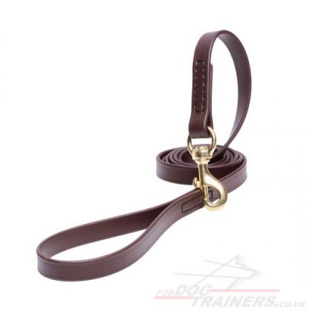 Advanced Biothane Brown Dog Lead with Handle