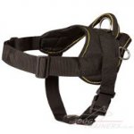Best Dog Harness UK Favorite for Small and Big Dogs