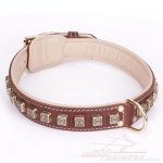 "Cube" Tough Brown Leather Dog Collars UK With Decorations_2